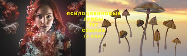 дмт Лабытнанги