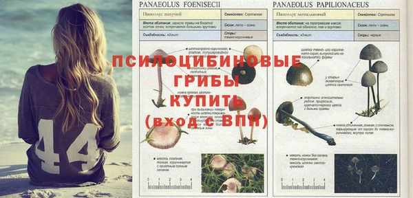 прущая мука Лихославль